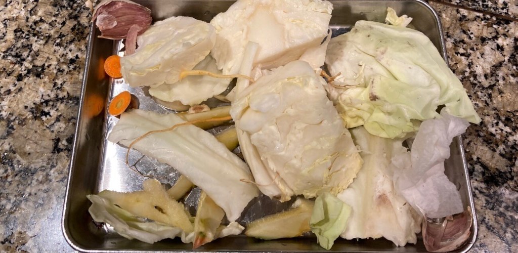 第二回マスターリサイクラープログラムおさらい「生ゴミ」 Master Recycler Program Review #2 “Food Scraps”